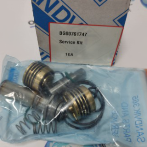 BG00761747 Сервисный набор (Service kit) Sandvik