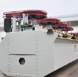 Стержневая флотационная машина серии XJB