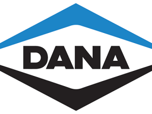 U-10064-00 Крестовина Dana