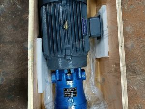 gidronasos-25scy14-1b-s-jelektrodvigatelem-yd-132m-4